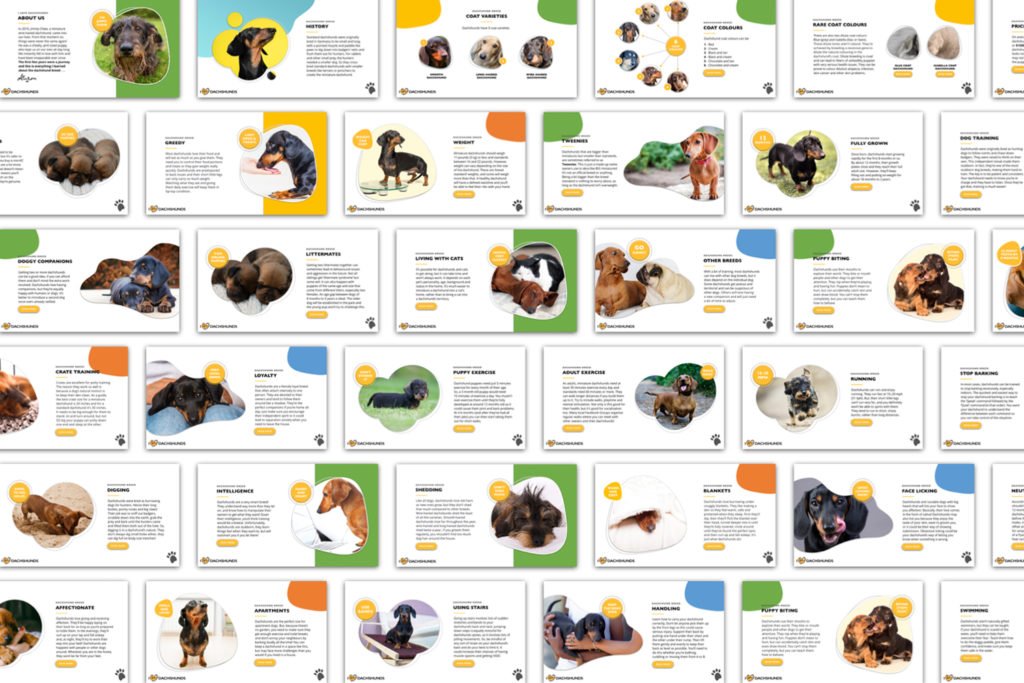 A preview of pages from the Dachshund E-Guide