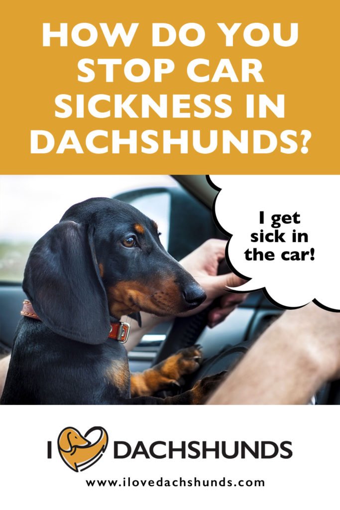 'How do you stop car sickness in Dachshunds?' heading with a photo of a Dachshund in a car with a speech bubble that says 'I get sick in the car'