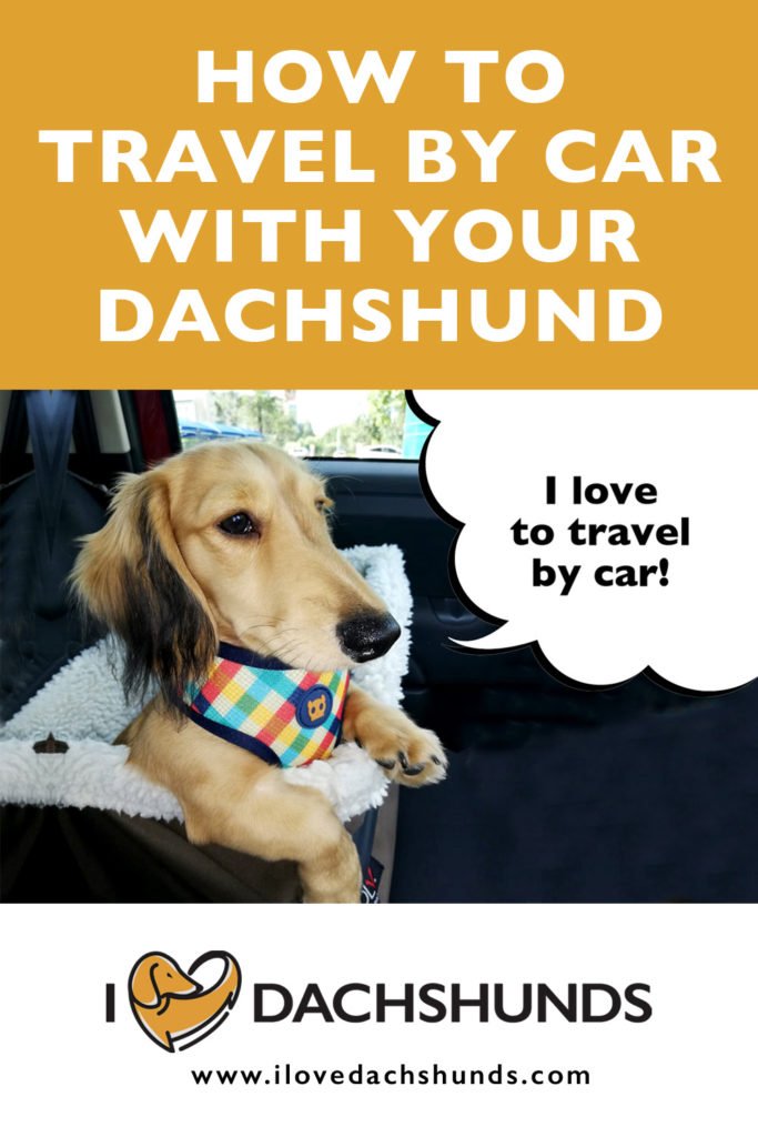'How to travel by car with your Dachshund' heading with a Dachshund travelling by car in a booster seat with a speech bubble that says "I love to travel by car"